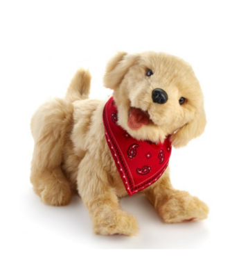 teraphund orange robot hund Mentex