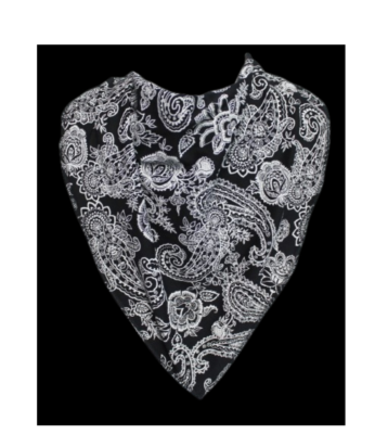 Bib saliv skydd size 4 paisley svart 2